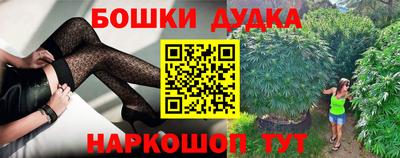 крисы Лесосибирск