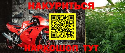 крисы Лесосибирск