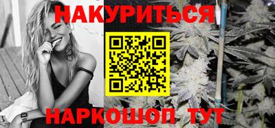 крисы Лесосибирск