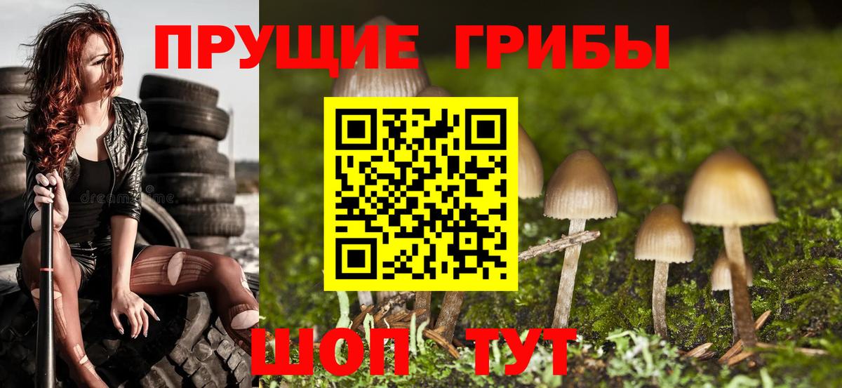 Псилоцибиновые грибы ЛСД Еманжелинск